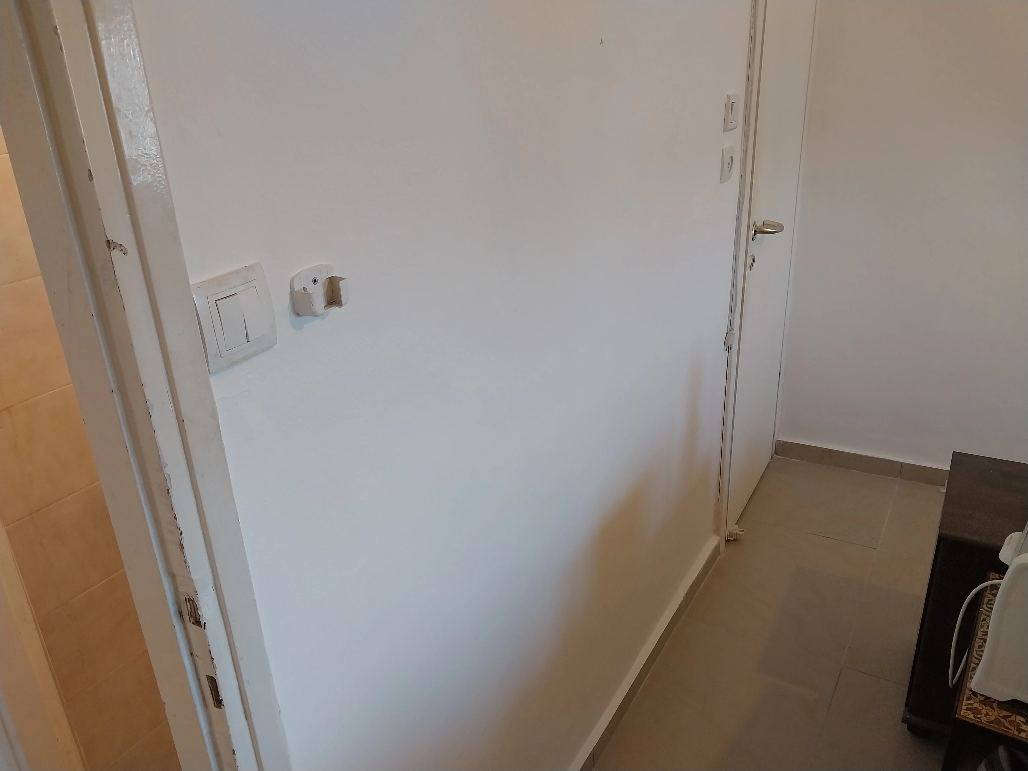 פרויקט צביעת פנים - 04 פברואר 2025