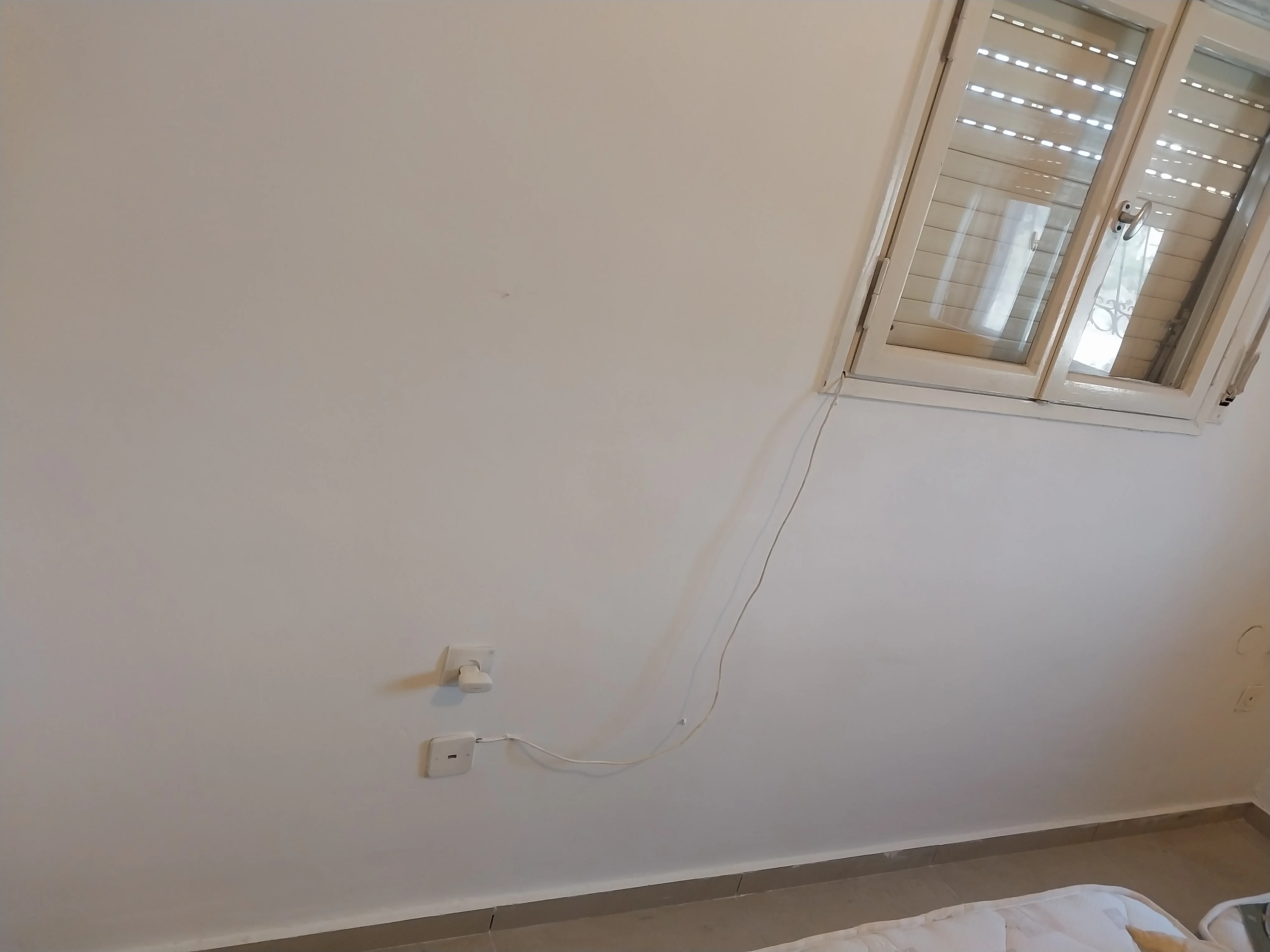 פרויקט צביעת פנים - 04 פברואר 2025