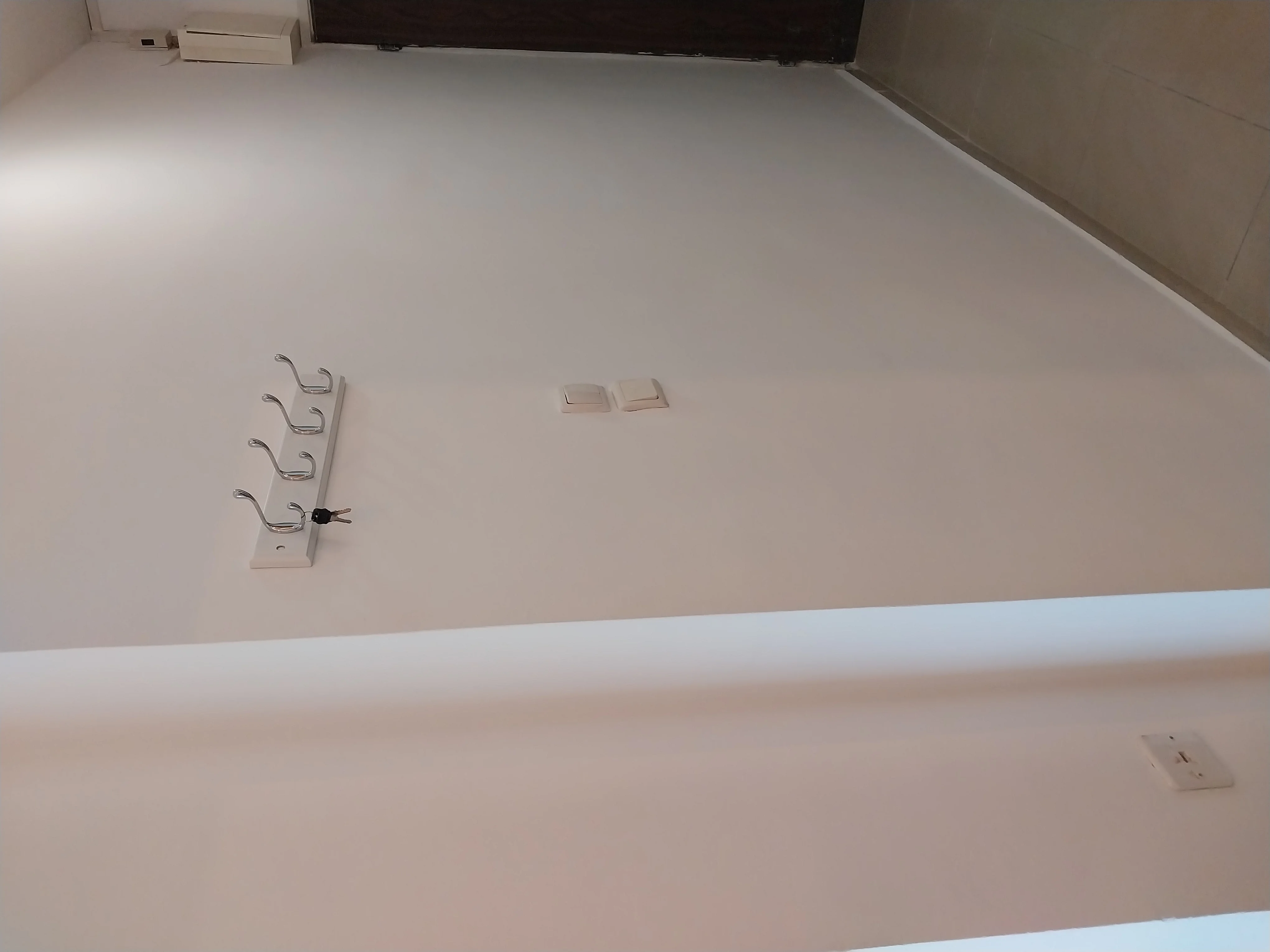 פרויקט צביעת פנים - 04 פברואר 2025