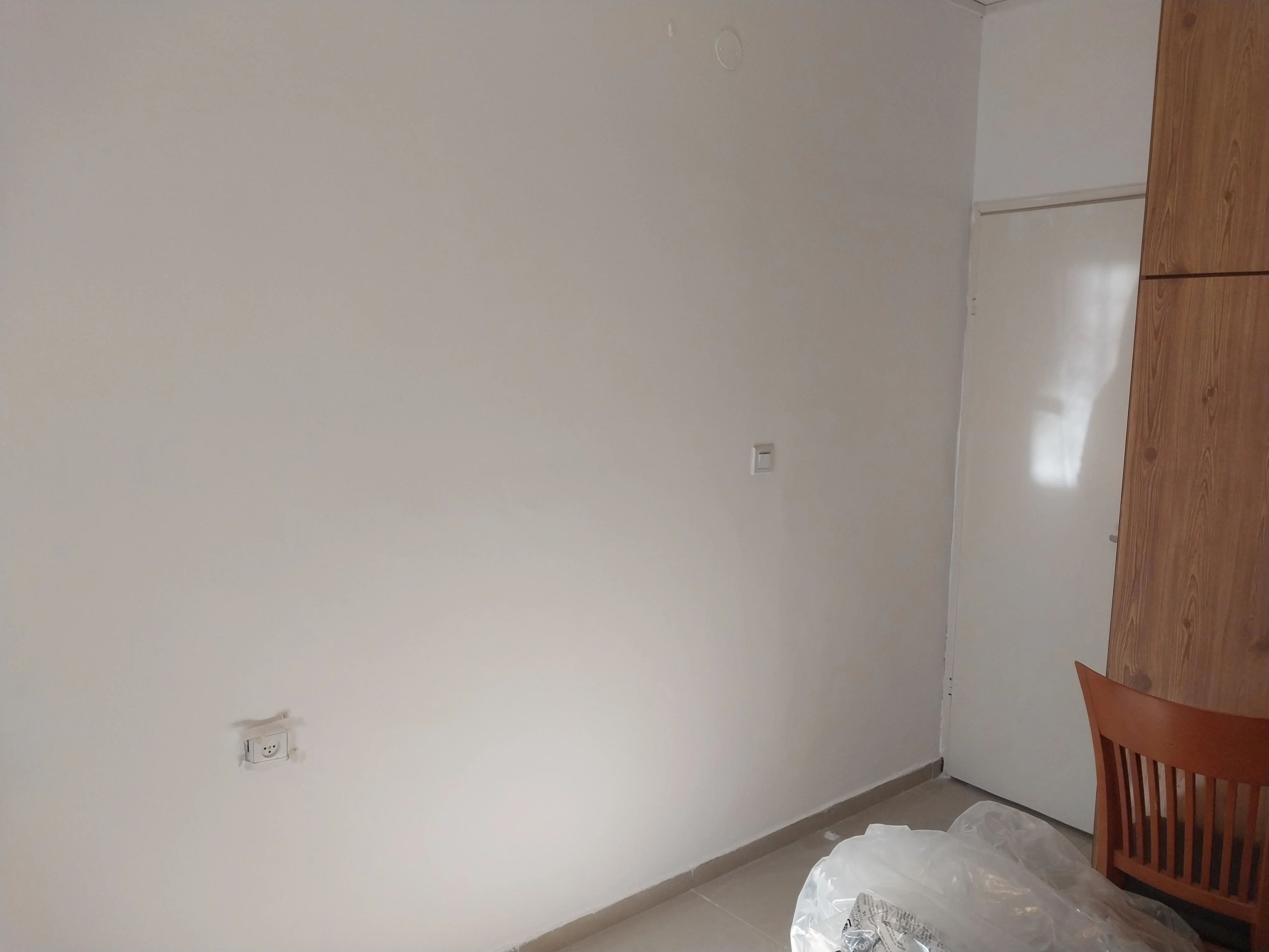 פרויקט צביעת פנים - 04 פברואר 2025