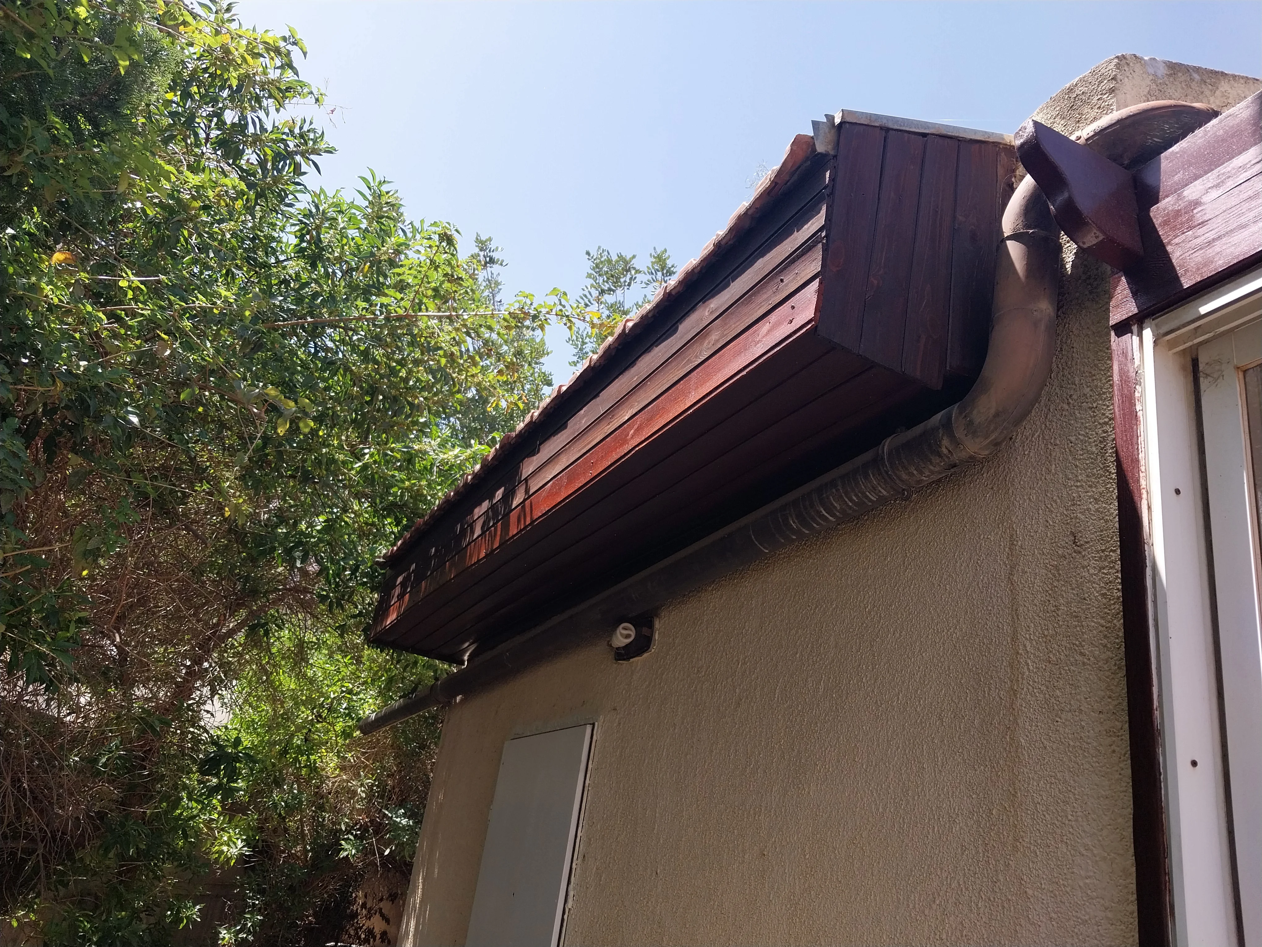 פרויקט צביעת פנים - 20 אפריל 2025