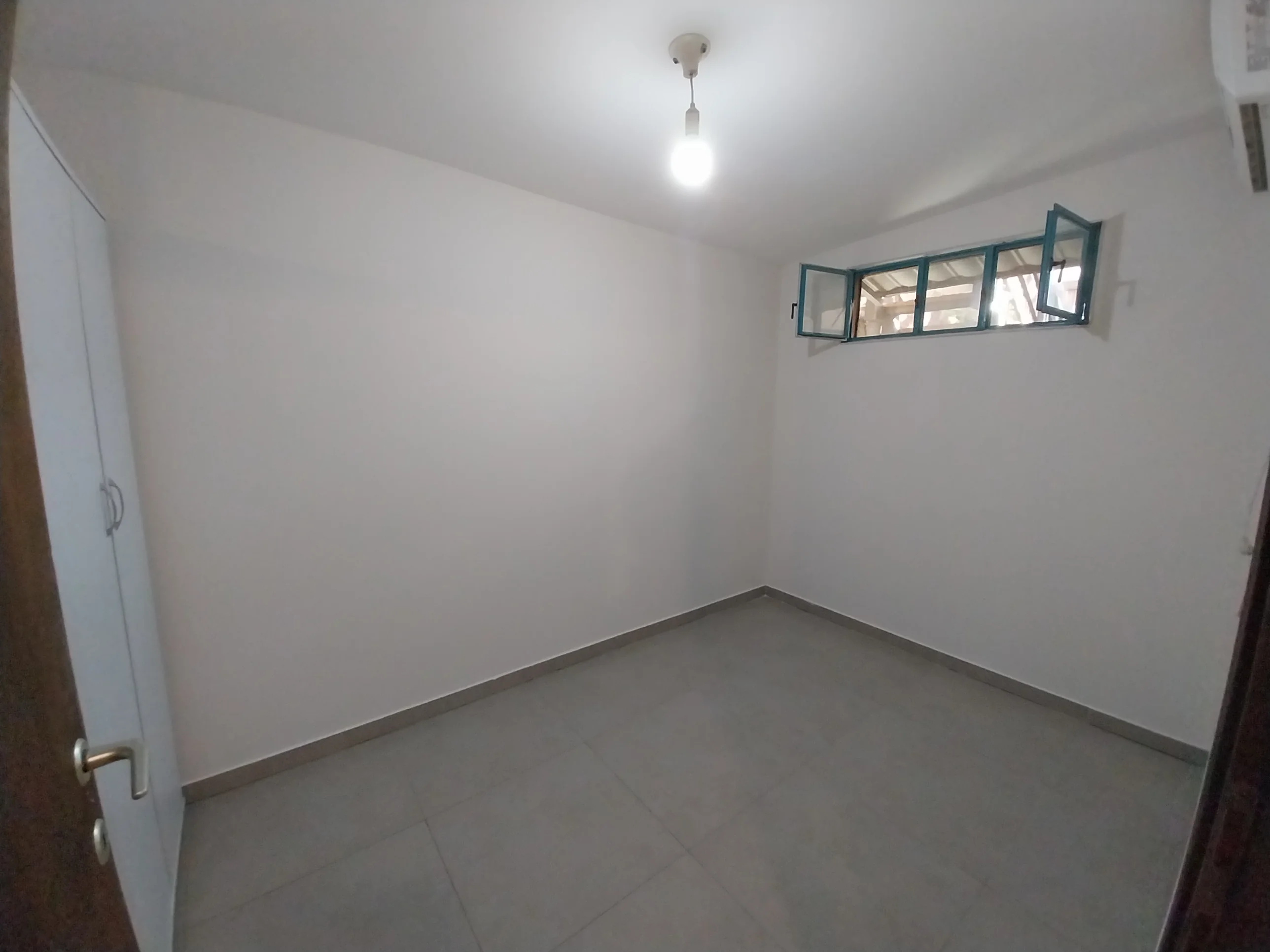 פרויקט צביעת פנים - 06 אוגוסט 2025