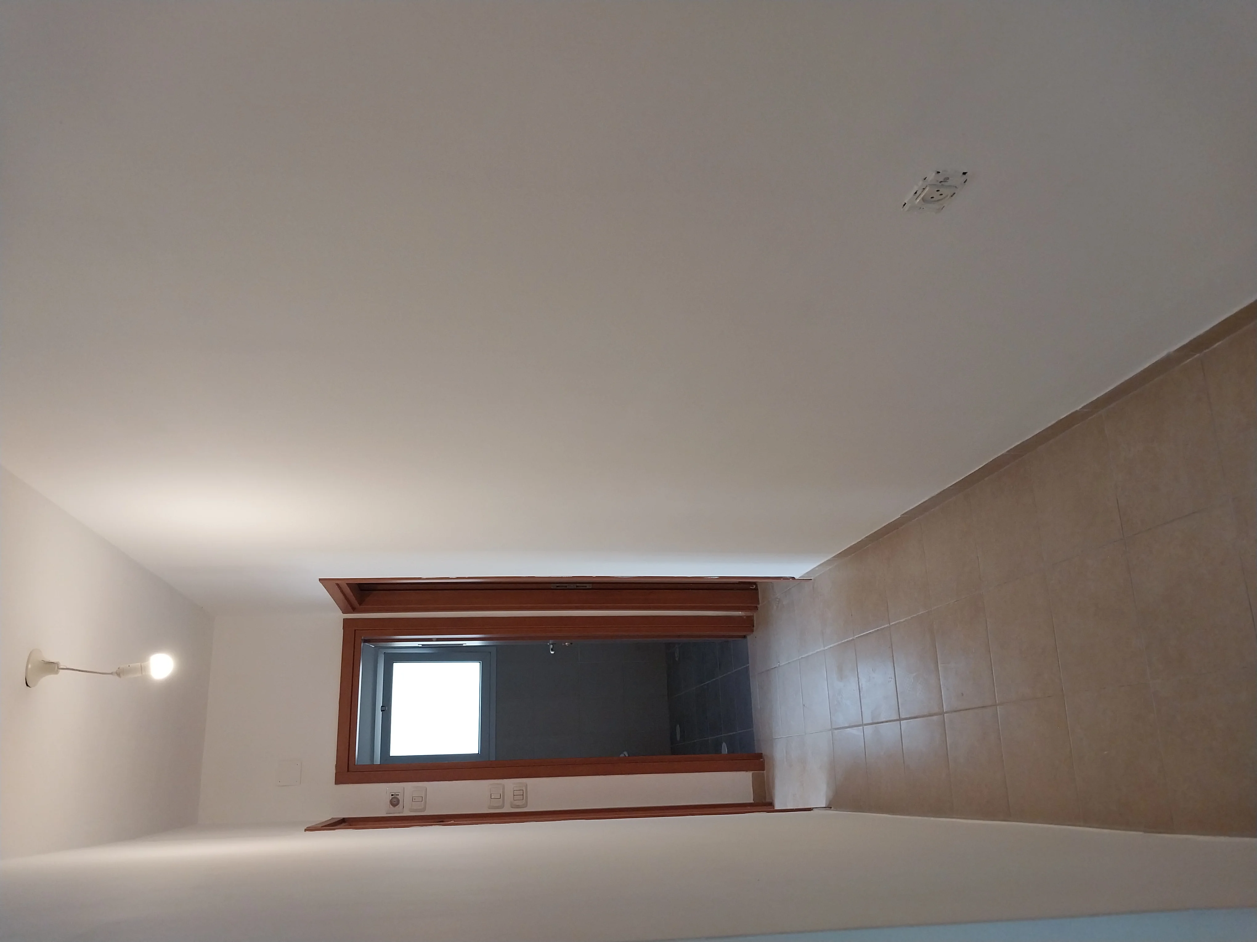 פרויקט צביעת פנים - 13 אוגוסט 2025