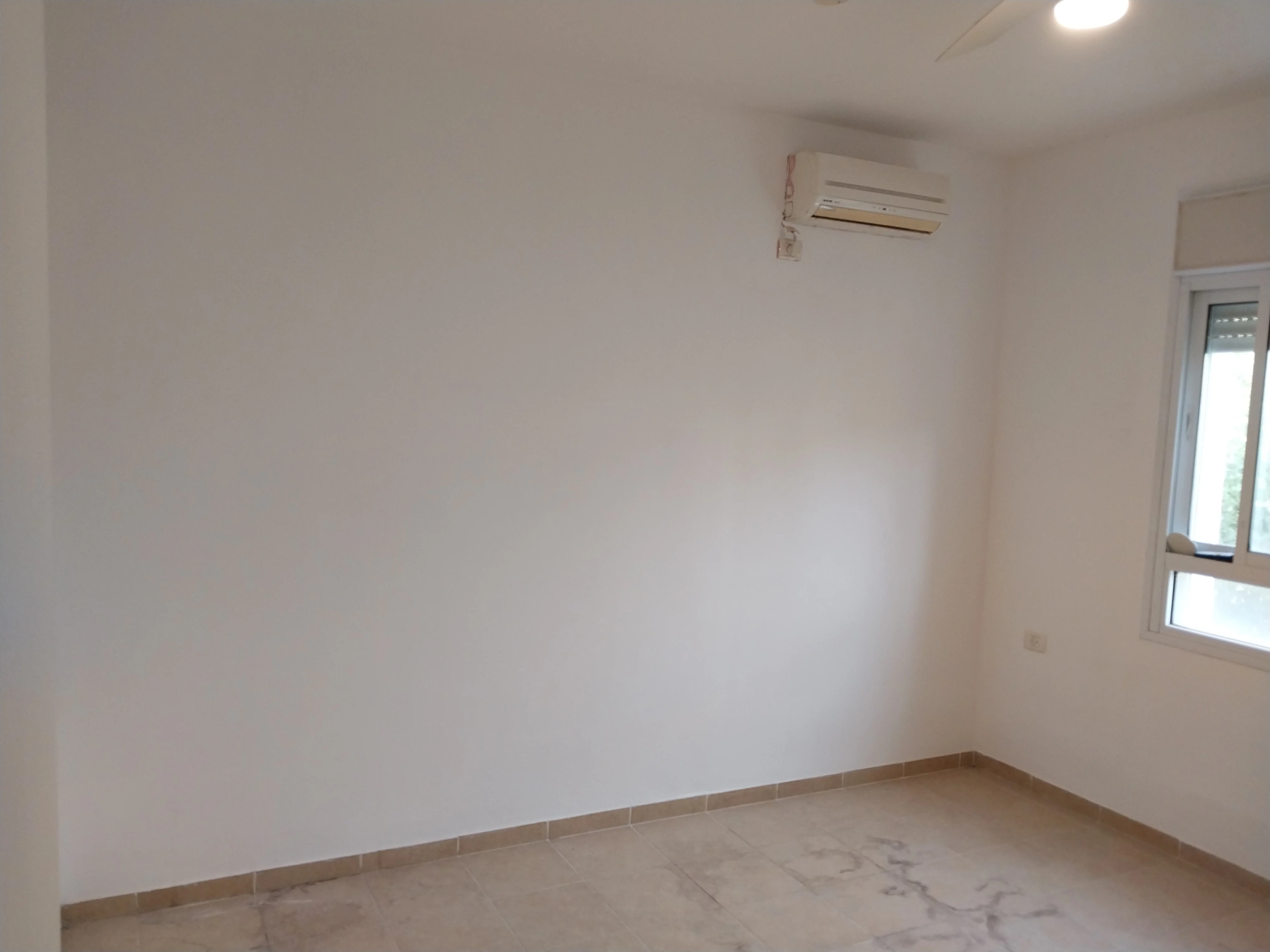 פרויקט צביעת פנים - 13 אוגוסט 2025