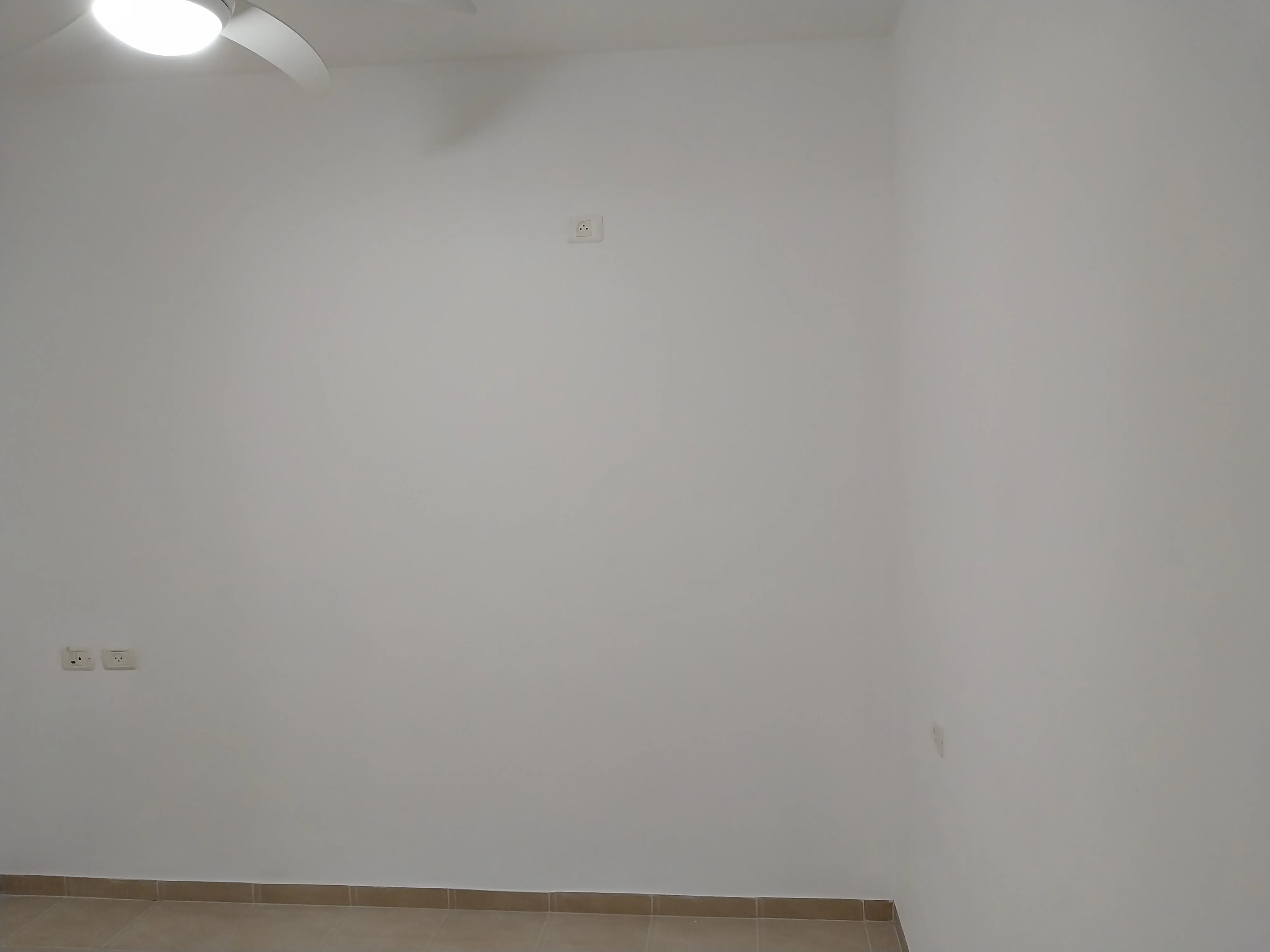 פרויקט צביעת פנים - 13 אוגוסט 2025