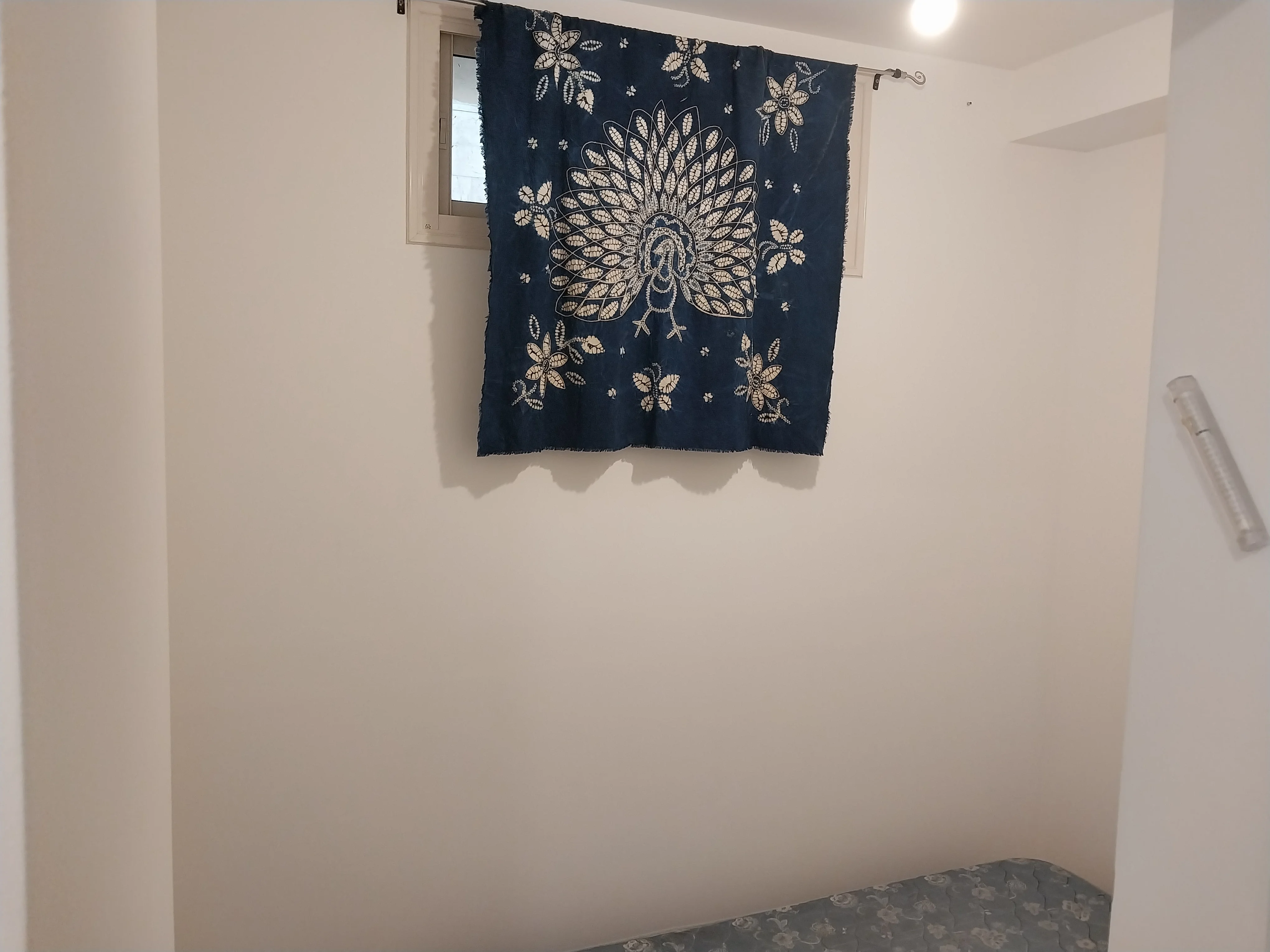 פרויקט צביעת פנים - 14 אוגוסט 2025